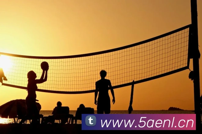 6686体育赛事直播APP 封面图